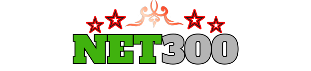 Logo Net300